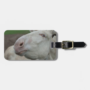 Étiquette À Bagage Âne blanc d'Autriche-Hongrie