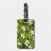 Étiquette À Bagage Anémone en bois (Dos Vertical)