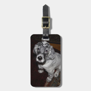 Étiquette À Bagage Anglais Setter Puppy
