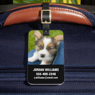 Étiquette À Bagage Animaux de bébés cutest   Baby Corgi dans mon geno