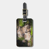 Étiquette À Bagage Animaux de bébés cutest | Baby Red Fox Kits Sleepi (Devant Vertical)