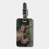 Étiquette À Bagage Animaux de bébés cutest | Bébé Renards Jouer (Devant Vertical)