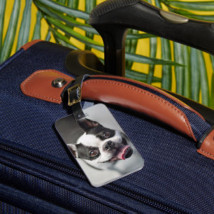 Étiquette À Bagage Animaux de bébés cutest Boston Bulldog Smile