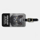 Étiquette À Bagage Animaux de bébés cutest | Chat gris (Devant horizontal)