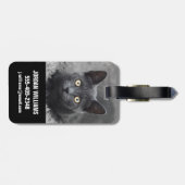 Étiquette À Bagage Animaux de bébés cutest | Chat gris (Dos horizontal)