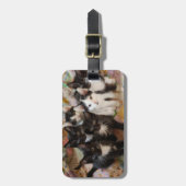 Étiquette À Bagage Animaux de bébés cutest | Chatons noirs et blancs (Devant Vertical)