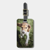 Étiquette À Bagage Animaux de bébés cutest | Chiot Beagle (Devant Vertical)
