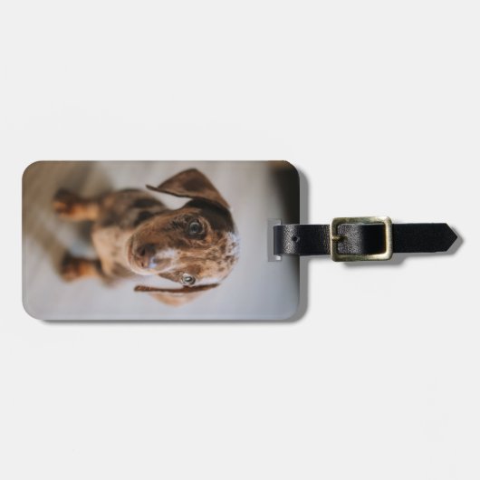 Étiquette À Bagage Animaux de bébés cutest | Chiot Brown (Devant horizontal)