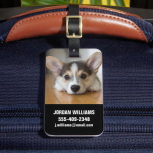 Étiquette À Bagage Animaux de bébés cutest   Corgi Puppy