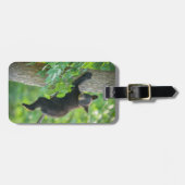 Étiquette À Bagage Animaux de bébés cutest | Cube d'ours noir (Devant horizontal)