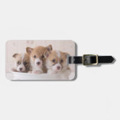 Étiquette À Bagage Animaux de bébés cutest | Cute Corgi Chipies dans (Devant horizontal)
