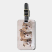 Étiquette À Bagage Animaux de bébés cutest | Cute Corgi Chipies dans (Devant Vertical)