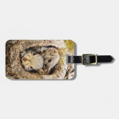 Étiquette À Bagage Animaux de bébés cutest | Écureuils curieux (Devant horizontal)