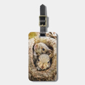 Étiquette À Bagage Animaux de bébés cutest | Écureuils curieux (Devant Vertical)