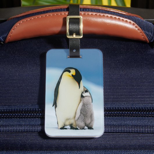 Étiquette À Bagage Animaux de bébés cutest | Empereur Penguin Chick (Insitu Rectoal 2)