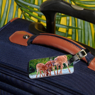 Étiquette À Bagage Animaux de bébés cutest   Fawn with Babies