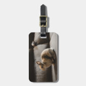 Étiquette À Bagage Animaux de bébés cutest | Lapin nain de Pays-Bas (Devant Vertical)