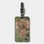 Étiquette À Bagage Animaux de bébés cutest | Lion Cub & Mother (Devant Vertical)