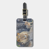 Étiquette À Bagage Animaux de bébés cutest | Lion Dad & Cub (Devant Vertical)