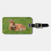 Étiquette À Bagage Animaux de bébés cutest | Little Fawn (Devant horizontal)