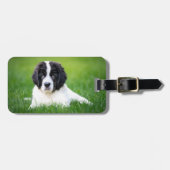 Étiquette À Bagage Animaux de bébés cutest | Newfoundland Puppy (Devant horizontal)