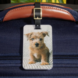 Étiquette À Bagage Animaux de bébés cutest Norfolk Terrier Puppy