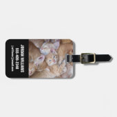 Étiquette À Bagage Animaux de bébés cutest | Orange Kitten Pile (Devant horizontal)