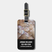 Étiquette À Bagage Animaux de bébés cutest | Orange Kitten Pile (Devant Vertical)