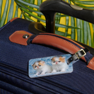 Étiquette À Bagage Animaux de bébés cutest Persian Calico Kitten
