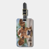 Étiquette À Bagage Animaux de bébés cutest | Petite vache (Devant Vertical)