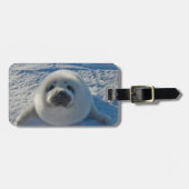 Étiquette À Bagage Animaux de bébés cutest | Phoque bébé (Devant horizontal)