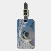 Étiquette À Bagage Animaux de bébés cutest | Phoque bébé (Devant Vertical)