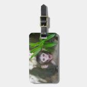 Étiquette À Bagage Animaux de bébés cutest | Singe des neiges surpris (Devant Vertical)