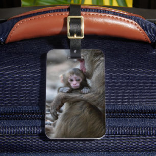Étiquette À Bagage Animaux de bébés cutest Singe et bébé japonais