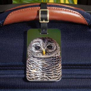 Étiquette À Bagage Animaux de bébés cutest Tawny Owl