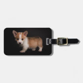 Étiquette À Bagage Animaux de bébés cutest | Tiny Corgi (Devant horizontal)