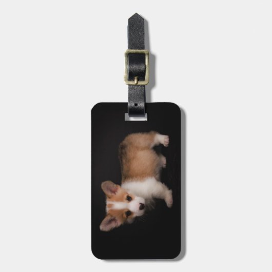 Étiquette À Bagage Animaux de bébés cutest | Tiny Corgi (Devant Vertical)