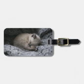 Étiquette À Bagage Animaux de bébés cutest | Tiny Kitten Dormir (Devant horizontal)