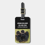 Étiquette À Bagage Animaux de bébés cutest | Trois chimpanzés en trai (Devant Vertical)