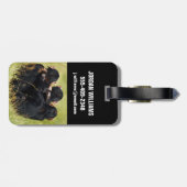 Étiquette À Bagage Animaux de bébés cutest | Trois chimpanzés en trai (Dos horizontal)