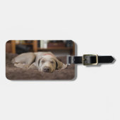 Étiquette À Bagage Animaux de bébés cutest | Weimaraner Puppy Sleepin (Devant horizontal)