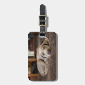 Étiquette À Bagage Animaux de bébés cutest | Weimaraner Puppy Sleepin (Devant Vertical)