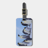 Étiquette À Bagage Antarctique, Emporer Penguins (Devant Vertical)