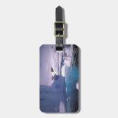 Étiquette À Bagage Antarctique. Sévices de l'Antarctique 2 (Devant Vertical)