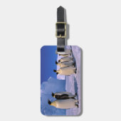 Étiquette À Bagage Antarctique, territoire australien antarctique, 7 (Devant Vertical)