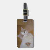 Étiquette À Bagage Apollo Turkish Van Luggage Tag (Devant Vertical)