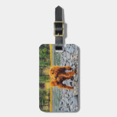 Étiquette À Bagage Apricot Poodle - Cadeau Personnalisable (Devant Vertical)