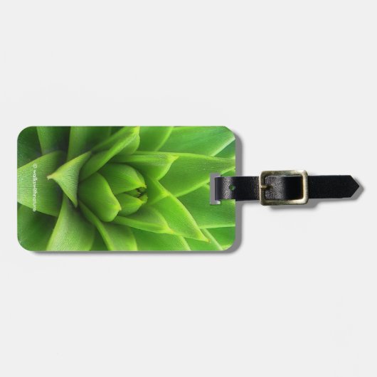 Étiquette À Bagage Arbre à puzzle de singe à pin chilien (Devant horizontal)