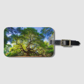 Étiquette À Bagage Arbre en chêne d'ange (Devant Horizontal)