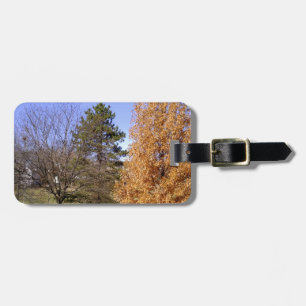 Étiquette À Bagage Arbres d'automne